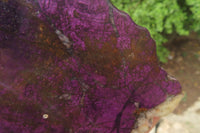 Polished On One Side Metallic Purpurite Specimens x 3 From Namibia - Toprock Gemstones and Minerals 