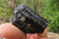 Natural Alluvial Schorl Black Tourmaline Crystals x 18 From Zimbabwe - Toprock Gemstones and Minerals 