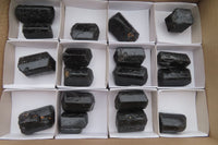 Natural Alluvial Schorl Black Tourmaline Crystals x 18 From Zimbabwe - Toprock Gemstones and Minerals 
