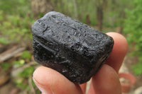 Natural Alluvial Schorl Black Tourmaline Crystals x 18 From Zimbabwe - Toprock Gemstones and Minerals 