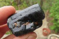 Natural Alluvial Schorl Black Tourmaline Crystals x 18 From Zimbabwe - Toprock Gemstones and Minerals 