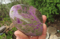 Polished Stichtite Standing Free Forms x 4 From Barberton, South Africa - Toprock Gemstones and Minerals 