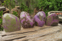 Polished Stichtite Standing Free Forms x 4 From Barberton, South Africa - Toprock Gemstones and Minerals 