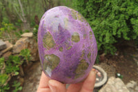 Polished Stichtite Standing Free Forms x 4 From Barberton, South Africa - Toprock Gemstones and Minerals 