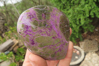 Polished Stichtite Standing Free Forms x 4 From Barberton, South Africa - Toprock Gemstones and Minerals 