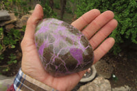 Polished Stichtite Standing Free Forms x 4 From Barberton, South Africa - Toprock Gemstones and Minerals 