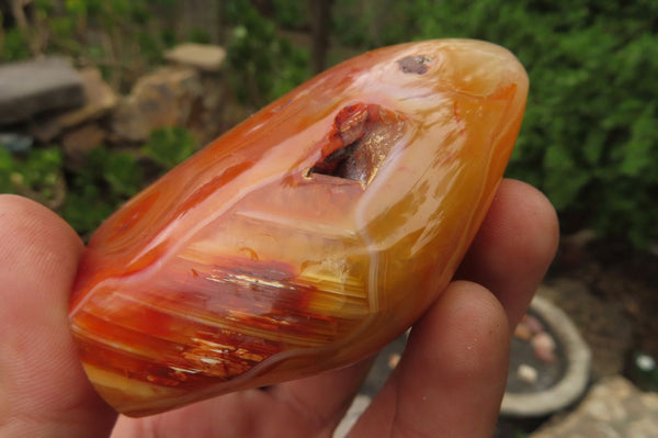 Polished Carnelian Standing Free Forms x 6 From Madagascar - Toprock Gemstones and Minerals 