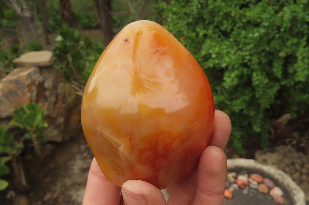 Polished Carnelian Standing Free Forms x 6 From Madagascar - Toprock Gemstones and Minerals 