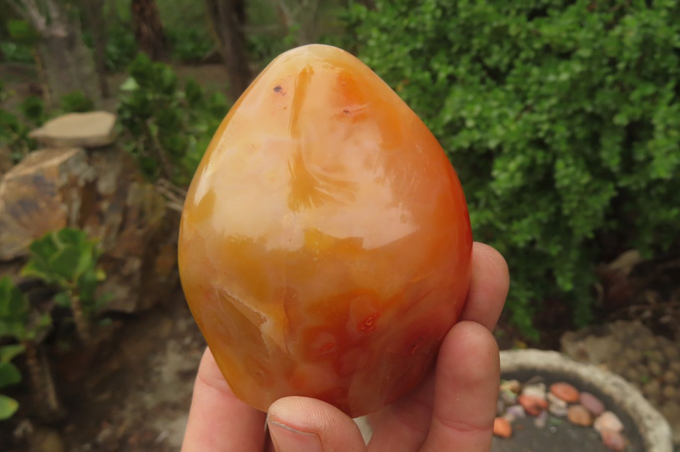 Polished Carnelian Standing Free Forms x 6 From Madagascar - Toprock Gemstones and Minerals 