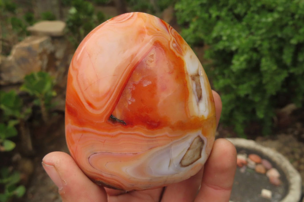 Polished Carnelian Standing Free Forms x 6 From Madagascar - Toprock Gemstones and Minerals 