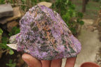 Natural Stichtite Cobbed Specimens x 5 From Barberton, South Africa - Toprock Gemstones and Minerals 