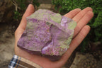 Natural Stichtite Cobbed Specimens x 5 From Barberton, South Africa - Toprock Gemstones and Minerals 