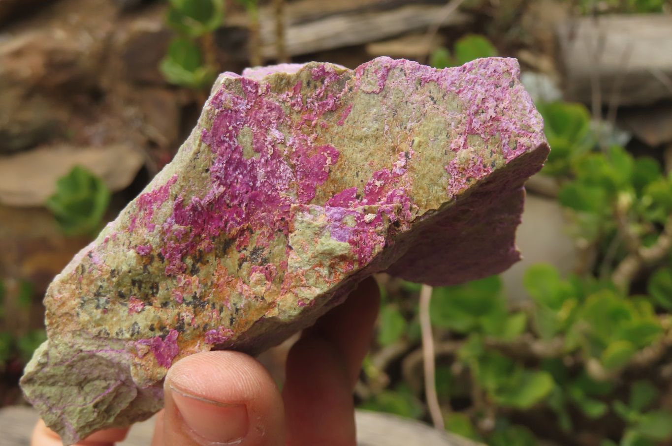 Natural Stichtite Cobbed Specimens x 5 From Barberton, South Africa - Toprock Gemstones and Minerals 