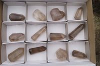 Polished Smokey Phantom Quartz Crystals x 12 From Madagascar - Toprock Gemstones and Minerals 