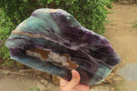 Polished Watermelon Fluorite Slice x 1 From Uis, Namibia - Toprock Gemstones and Minerals 