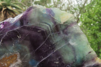 Polished Watermelon Fluorite Slice x 1 From Uis, Namibia - Toprock Gemstones and Minerals 
