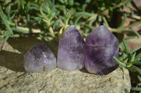 Polished Smokey Amethyst Window Quartz Crystals x 20 From Akansobe, Madagascar - Toprock Gemstones and Minerals 
