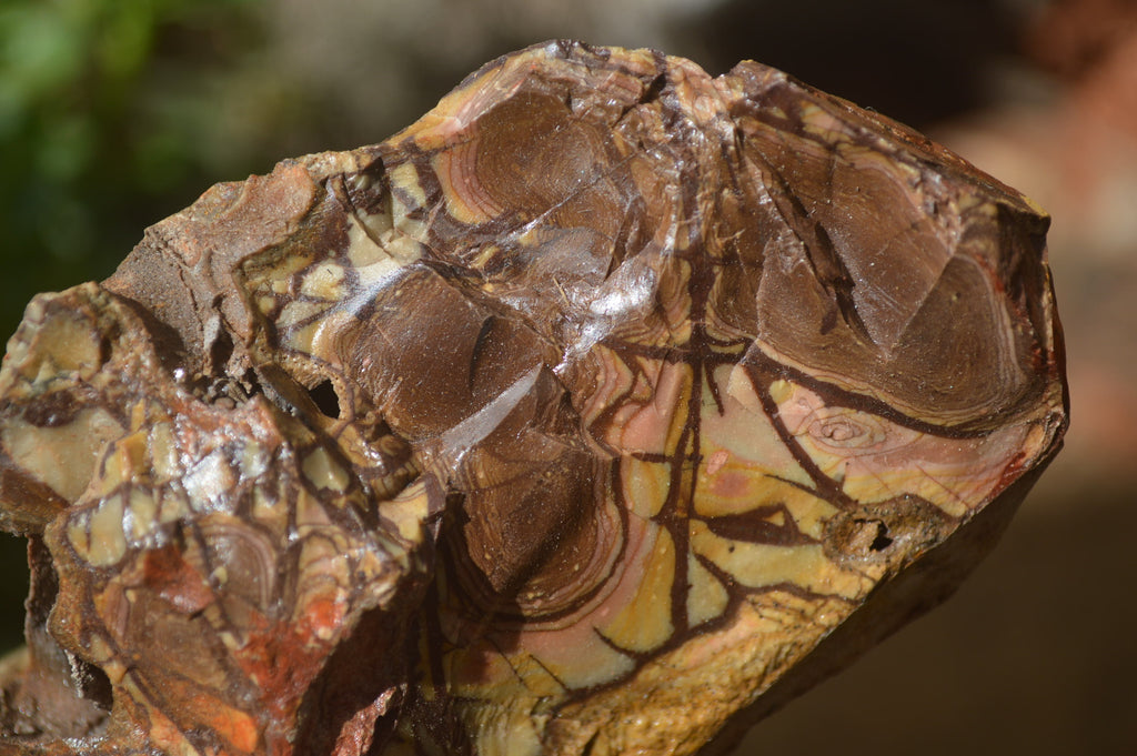 Natural Nguni Jasper Cobbed Specimens x 5 From Prieska, South Africa - Toprock Gemstones and Minerals 