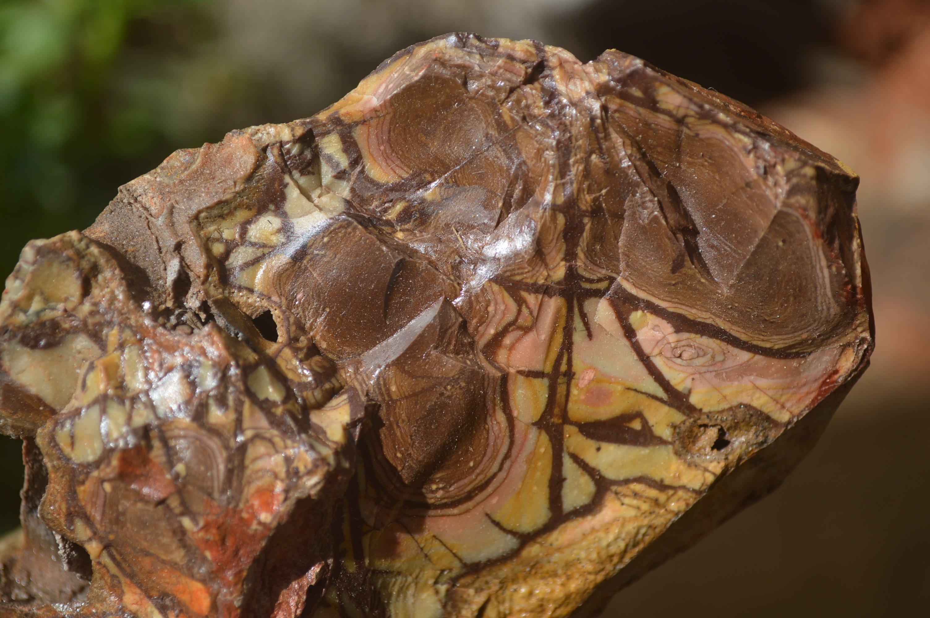 Natural Nguni Jasper Cobbed Specimens x 5 From Prieska, South Africa - Toprock Gemstones and Minerals 