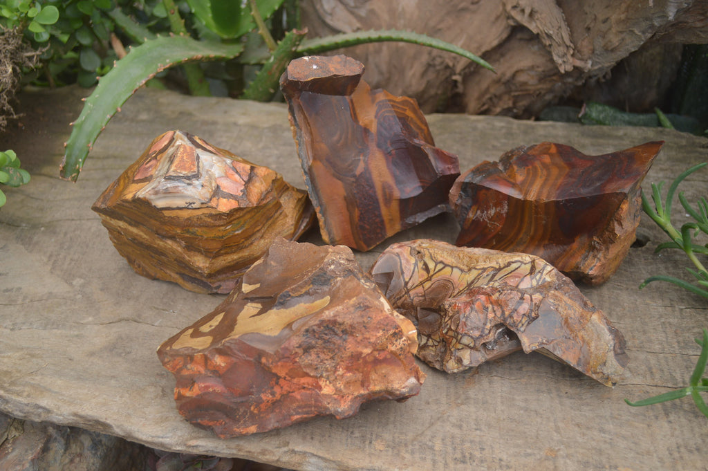 Natural Nguni Jasper Cobbed Specimens x 5 From Prieska, South Africa - Toprock Gemstones and Minerals 