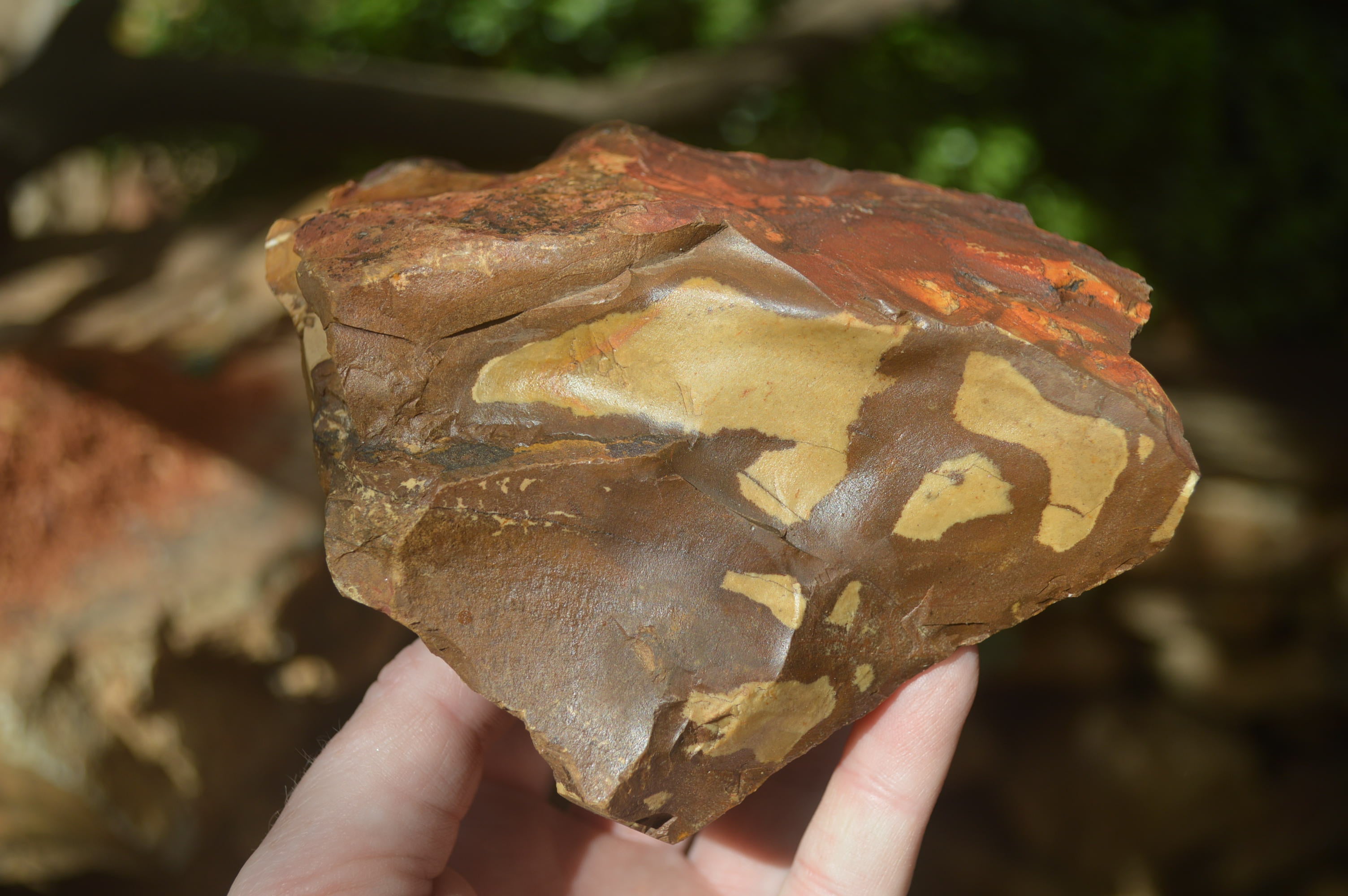 Natural Nguni Jasper Cobbed Specimens x 5 From Prieska, South Africa - Toprock Gemstones and Minerals 