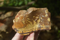 Natural Nguni Jasper Cobbed Specimens x 5 From Prieska, South Africa - Toprock Gemstones and Minerals 