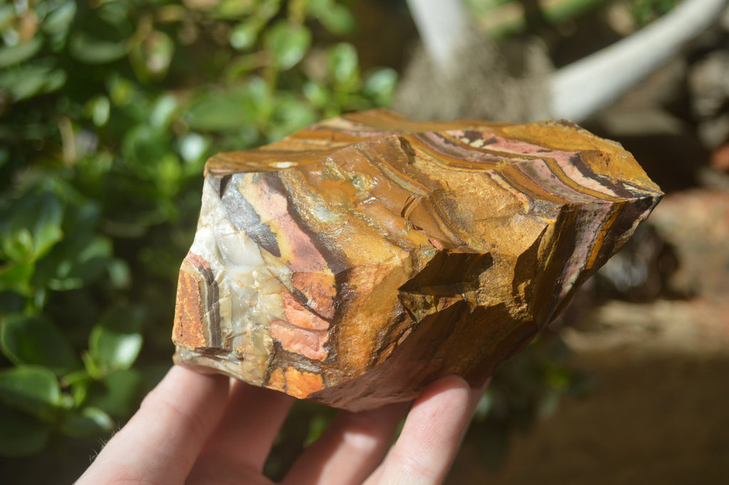 Natural Nguni Jasper Cobbed Specimens x 5 From Prieska, South Africa - Toprock Gemstones and Minerals 