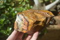 Natural Nguni Jasper Cobbed Specimens x 5 From Prieska, South Africa - Toprock Gemstones and Minerals 