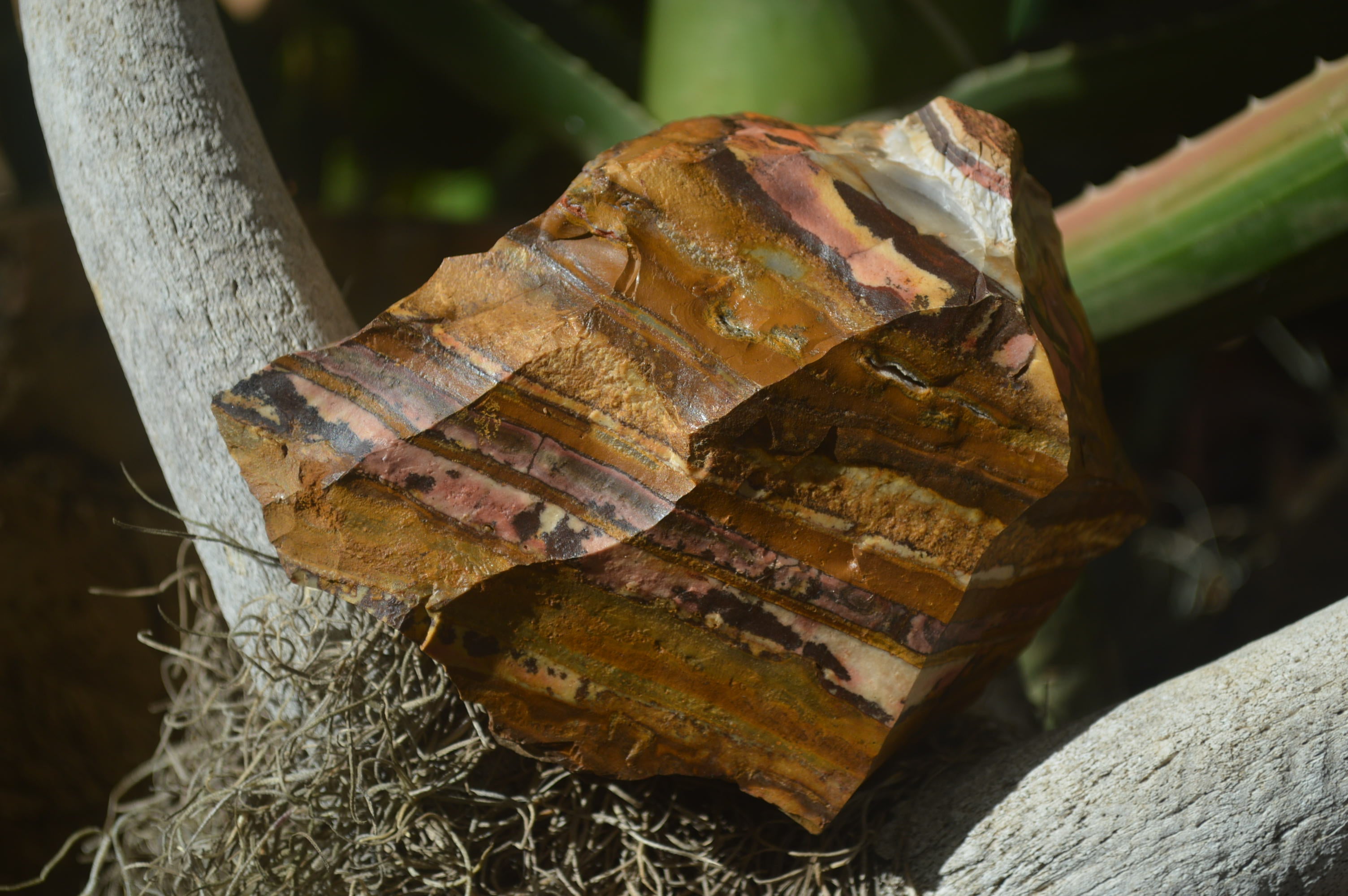 Natural Nguni Jasper Cobbed Specimens x 5 From Prieska, South Africa - Toprock Gemstones and Minerals 