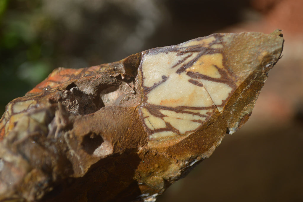 Natural Nguni Jasper Cobbed Specimens x 5 From Prieska, South Africa - Toprock Gemstones and Minerals 