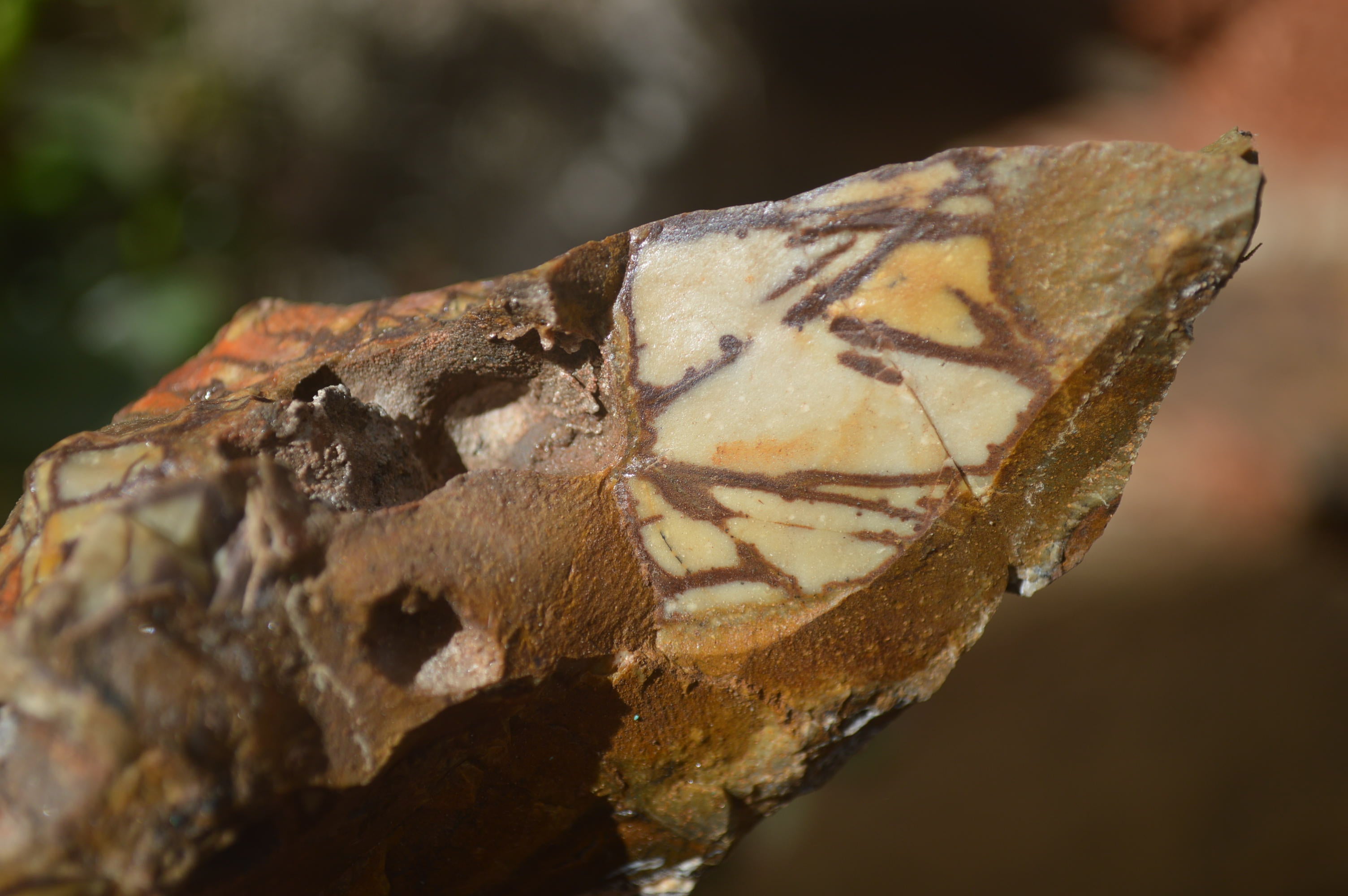 Natural Nguni Jasper Cobbed Specimens x 5 From Prieska, South Africa - Toprock Gemstones and Minerals 