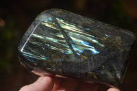 Polished Labradorite Standing Free Forms x 3 From Tulear, Madagascar - Toprock Gemstones and Minerals 