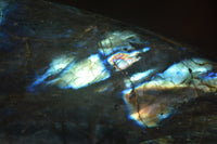 Polished Labradorite Standing Free Forms x 3 From Tulear, Madagascar - Toprock Gemstones and Minerals 