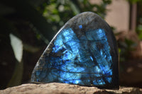 Polished Labradorite Standing Free Forms x 3 From Tulear, Madagascar - Toprock Gemstones and Minerals 