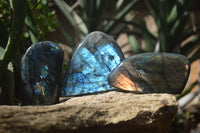 Polished Labradorite Standing Free Forms x 3 From Tulear, Madagascar - Toprock Gemstones and Minerals 