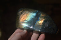 Polished Labradorite Standing Free Forms x 3 From Tulear, Madagascar - Toprock Gemstones and Minerals 