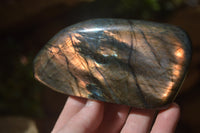 Polished Labradorite Standing Free Forms x 3 From Tulear, Madagascar - Toprock Gemstones and Minerals 