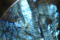 Polished Labradorite Standing Free Forms x 3 From Tulear, Madagascar - Toprock Gemstones and Minerals 