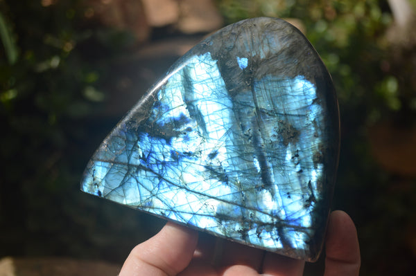Polished Labradorite Standing Free Forms x 3 From Tulear, Madagascar - Toprock Gemstones and Minerals 