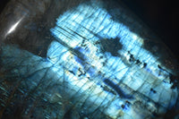 Polished Labradorite Standing Free Forms x 3 From Tulear, Madagascar - Toprock Gemstones and Minerals 