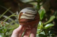 Polished Polychrome Jasper Spheres x 5 From Madagascar - Toprock Gemstones and Minerals 