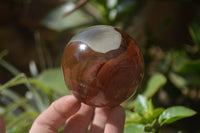 Polished Polychrome Jasper Spheres x 5 From Madagascar - Toprock Gemstones and Minerals 