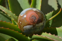Polished Polychrome Jasper Spheres x 5 From Madagascar - Toprock Gemstones and Minerals 