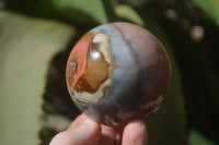 Polished Polychrome Jasper Spheres x 5 From Madagascar - Toprock Gemstones and Minerals 