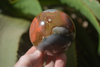 Polished Polychrome Jasper Spheres x 5 From Madagascar - Toprock Gemstones and Minerals 