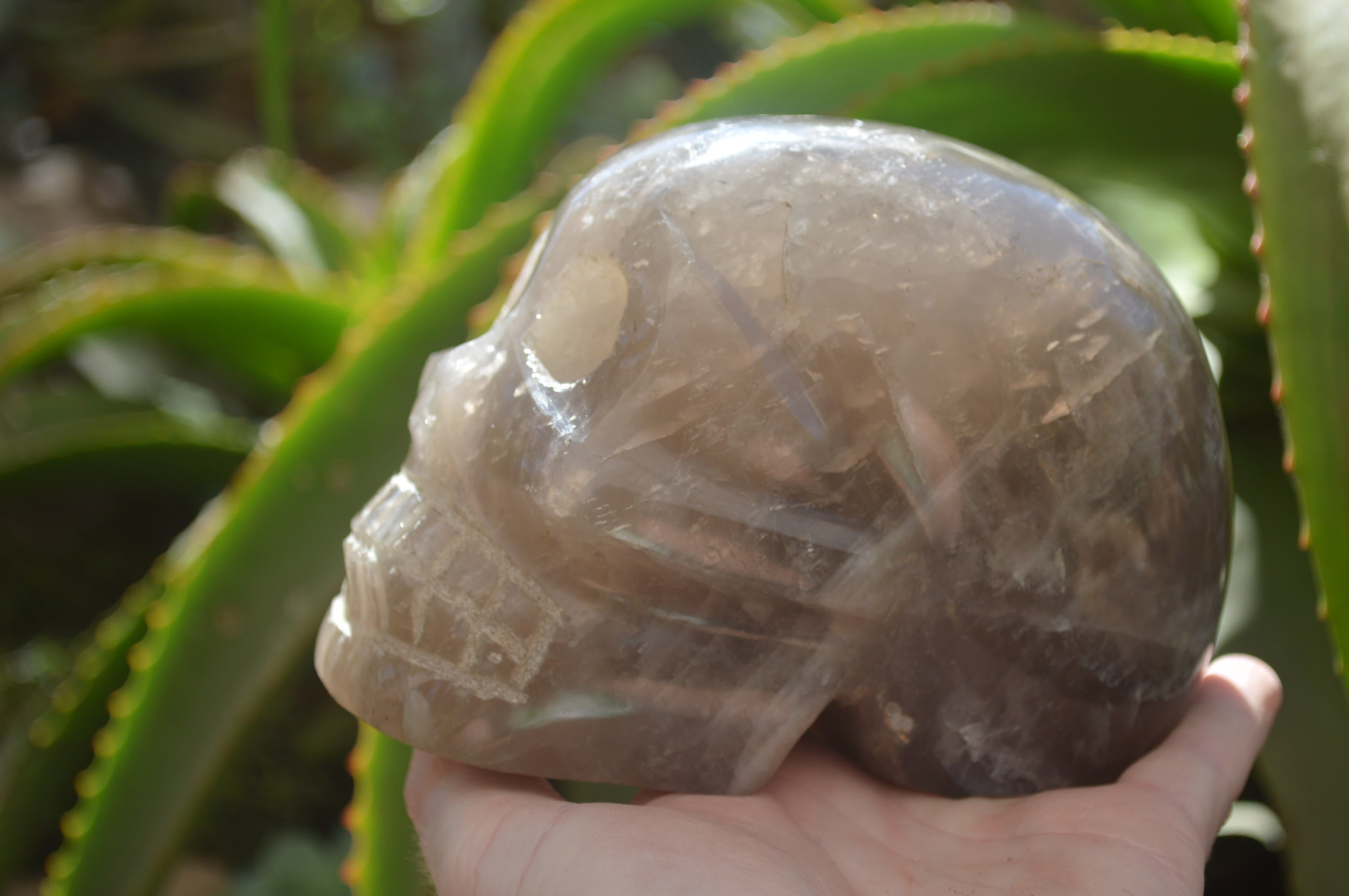 Hand Made Smokey Quartz Skull Carving x 1 From Madagascar - Toprock Gemstones and Minerals 