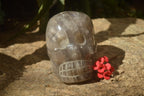 Hand Made Smokey Quartz Skull Carving x 1 From Madagascar - Toprock Gemstones and Minerals 
