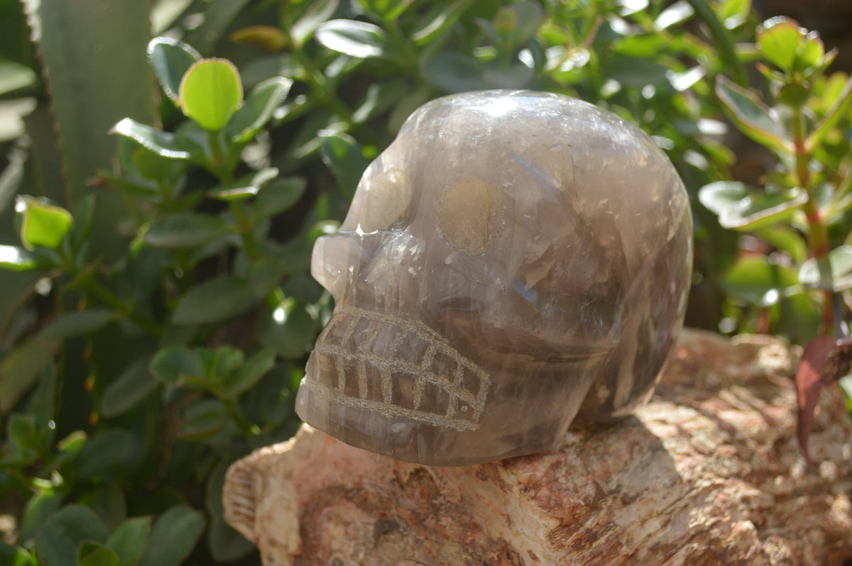 Hand Made Smokey Quartz Skull Carving x 1 From Madagascar - Toprock Gemstones and Minerals 