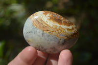 Polished Dendritic Opal Palm Stones x 12 From Moralambo, Madagascar - Toprock Gemstones and Minerals 