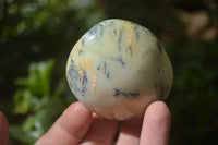 Polished Dendritic Opal Palm Stones x 12 From Moralambo, Madagascar - Toprock Gemstones and Minerals 